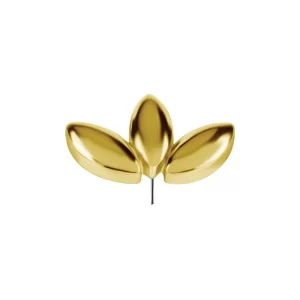 Topo Marquise liso em ouro 18K