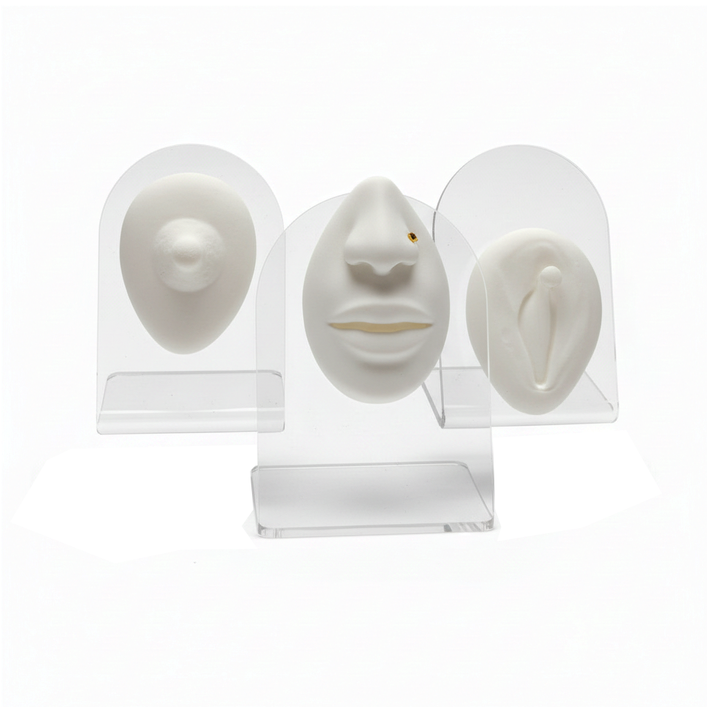 Espositore di Acrilico e Silicone Modelo Bocca, Nipple e Intimo