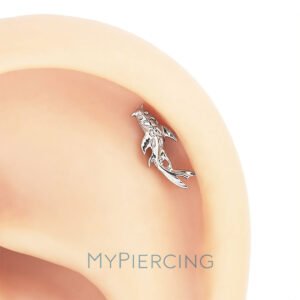 Labret carpa em titânio ASTM F136