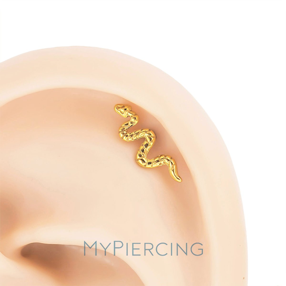 Piercing Labret serpente
