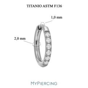 Orecchino A Cerchio Con Zirconi 1,6 Di Titanio ASTM F136