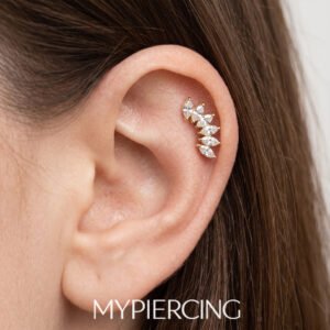 Labret Cluster 6 navette de zircónias em titânio