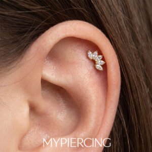 Labret de titânio com zircónias Push Pin