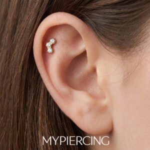 Labret de titânio com zircónias em favo de mel