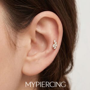 Labret asa de zircónias Navette em titânio ASTM F136